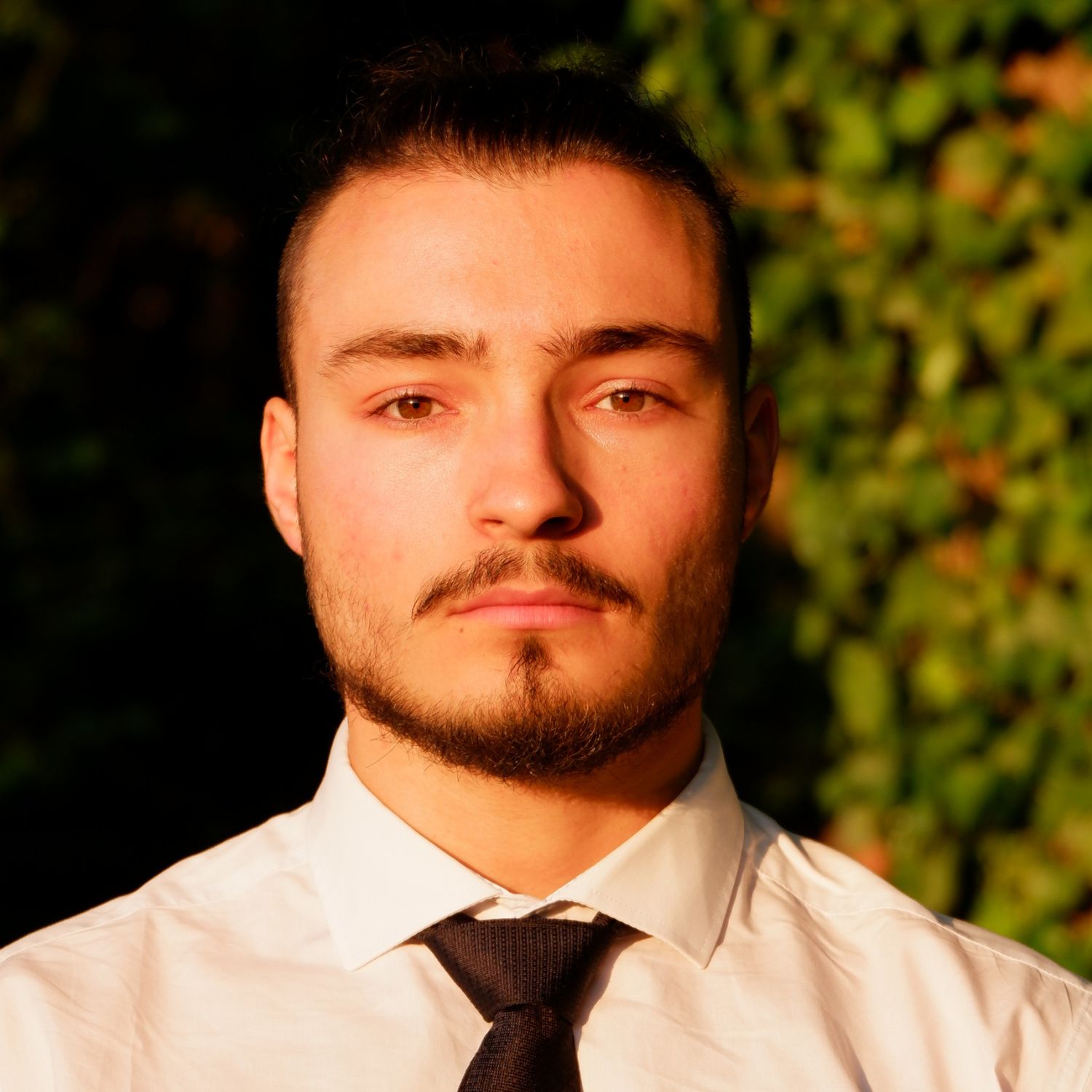 lionel-schmidt-cole-pierre